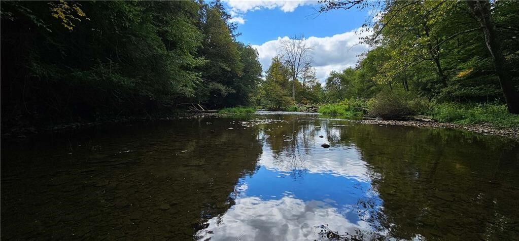 Property Photo:  Lafayette Road  NY 13045 