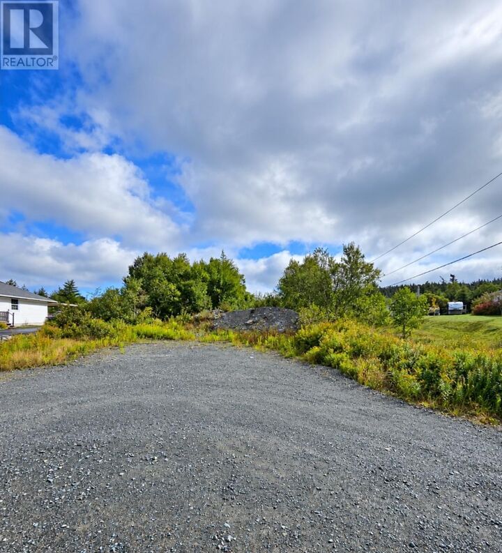 Property Photo:  25 Newfound Lane  NL A0A 1G0 