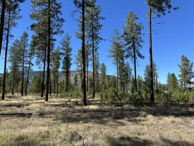Property Photo:  1188 L Fumi Cir  WA 99141 