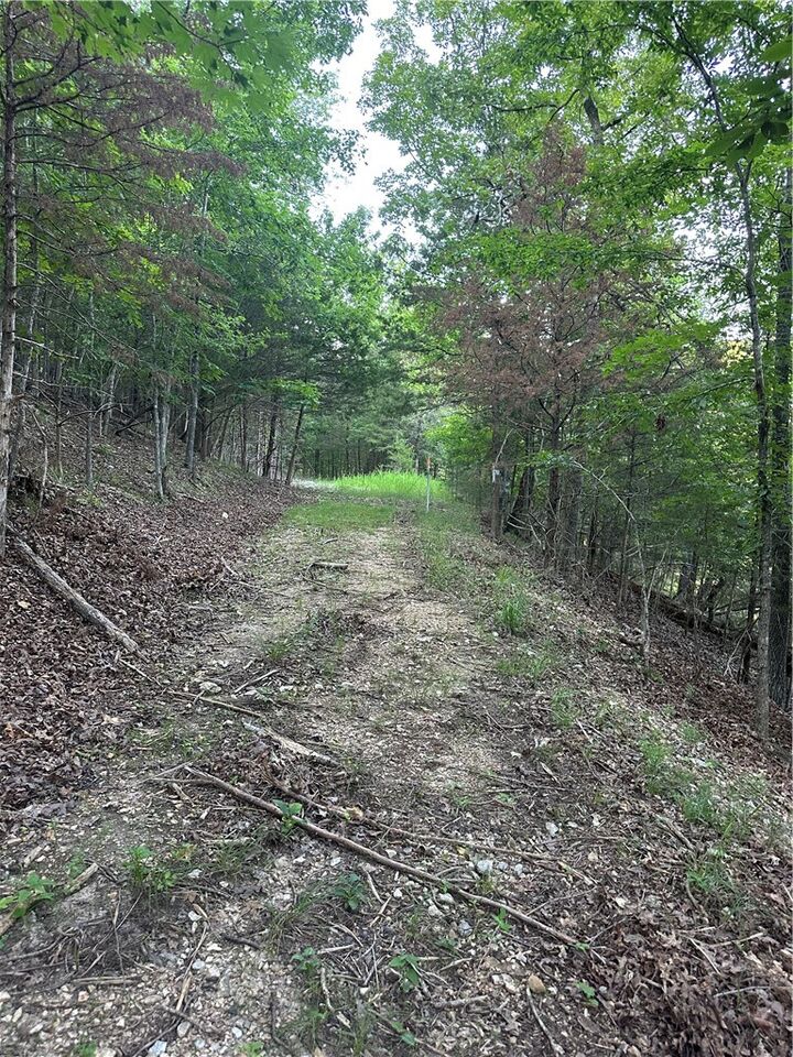 Property Photo:  Tbd County Road 152 And County Road 1524  AR 72632 