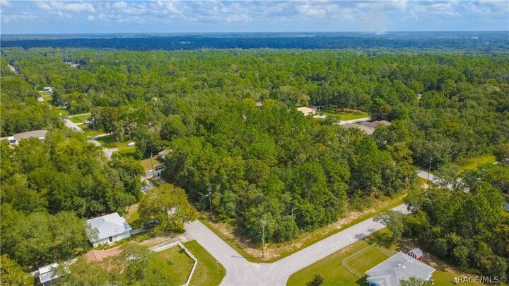 Property Photo: 83 N Fitzpatrick Avenue FL 34453