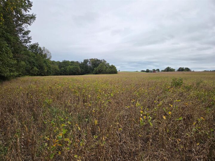 Property Photo: 0 Lewis Road KY 42171