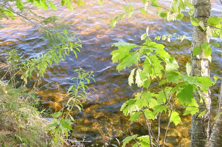 Property Photo: Lot 6 Mae West Road WI 54848