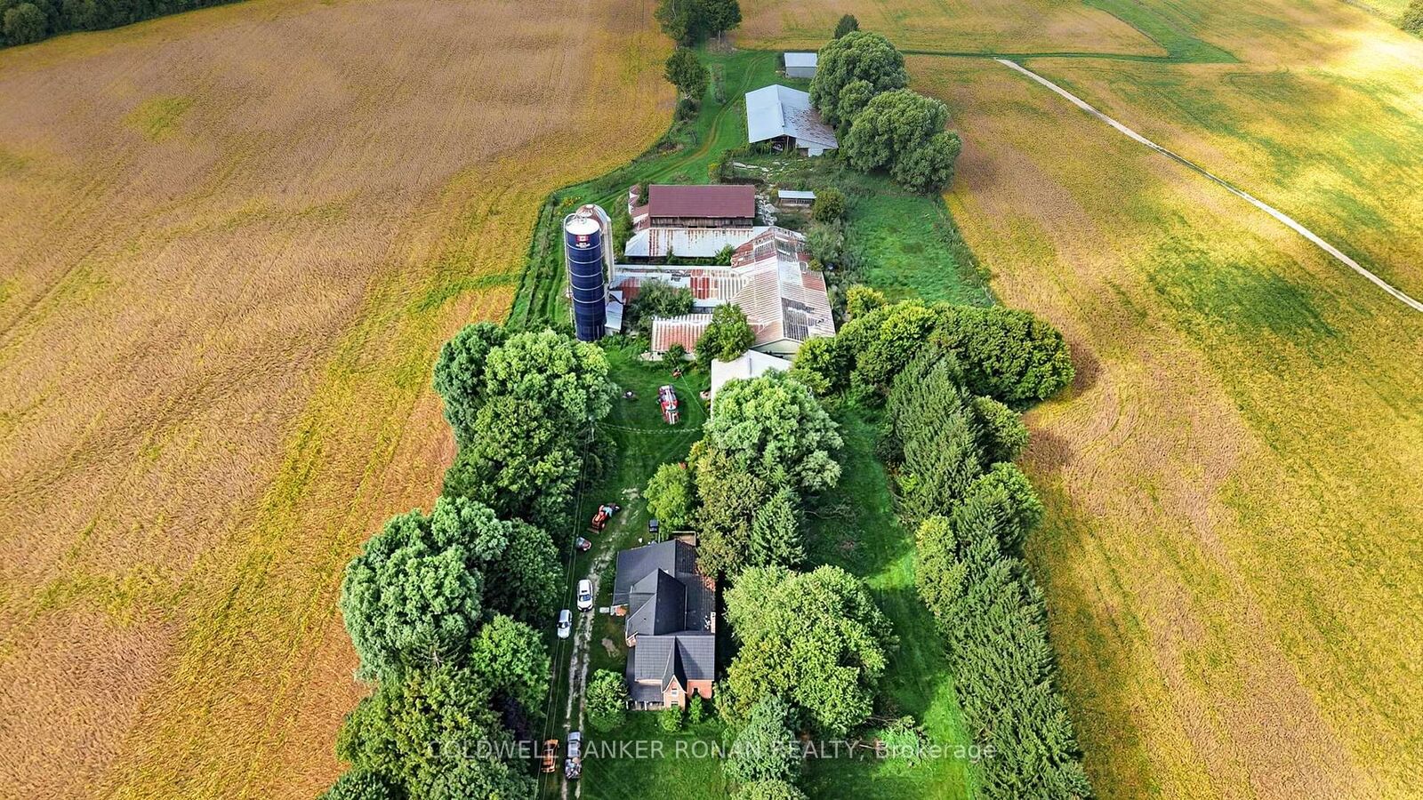 Photo de la propriété:  3182 Concession Road 5 N/A  ON L0G 1L0 
