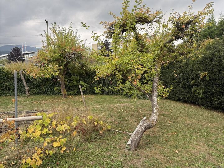 Property Photo:  532 Buller St  BC V9G 1A3 