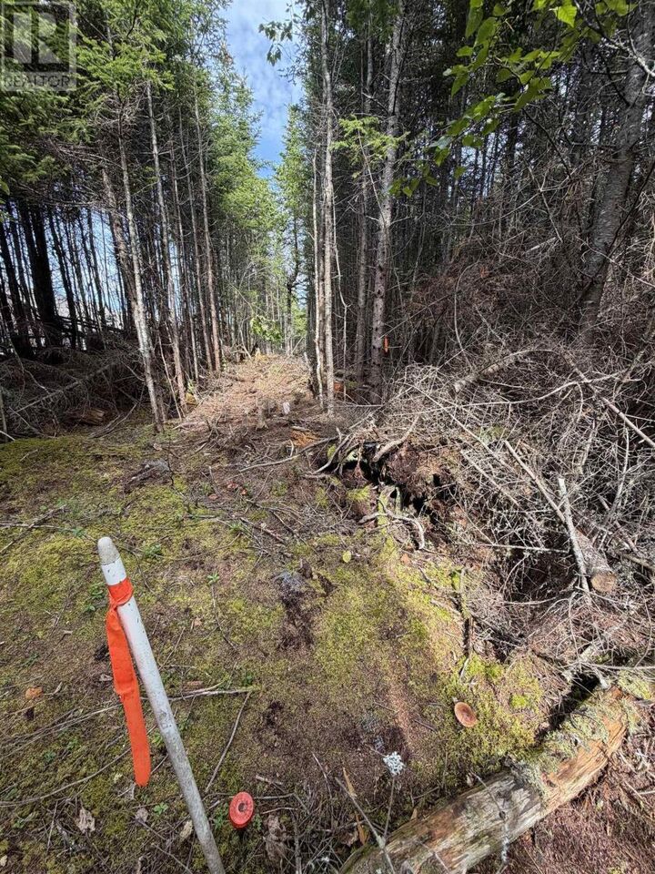 Property Photo:  Lot 2 Conrod Beach Road E  NS B0J 2L0 