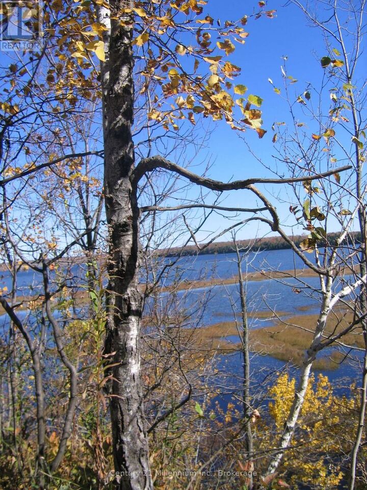 Property Photo: 0 Lt 26 Con 2 Wbr Albemarle Corners ON N0H 2T0