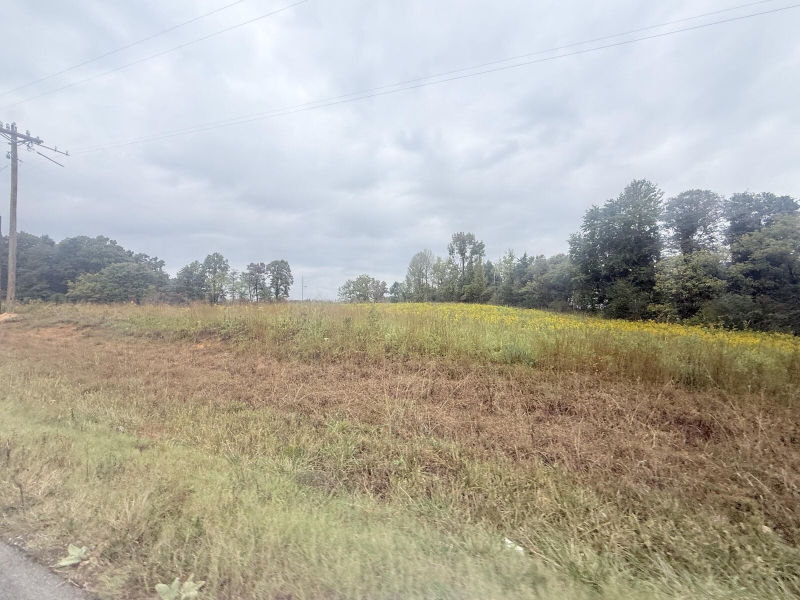 Property Photo:  7350 Alabama 73  AL 35958 
