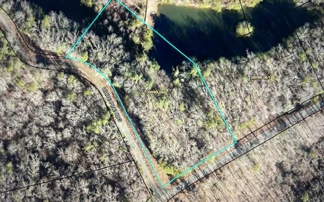 Property Photo:  Lt 50 White Pine Ridge  GA 30540 