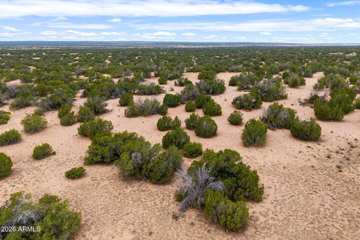 Property Photo:  Lot 3 Witch Well Ranches -- 3  AZ 85936 