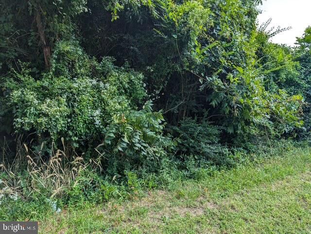 Property Photo:  2685 Bank Road  MD 21840 