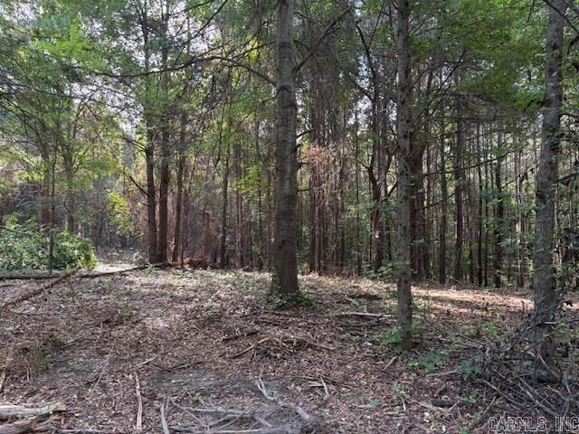 Property Photo: Tr 8 N Sardis Road AR 72103