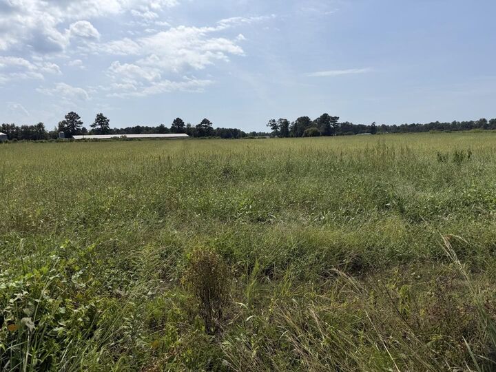 Property Photo: Tbd B And S Rd. SC 29569