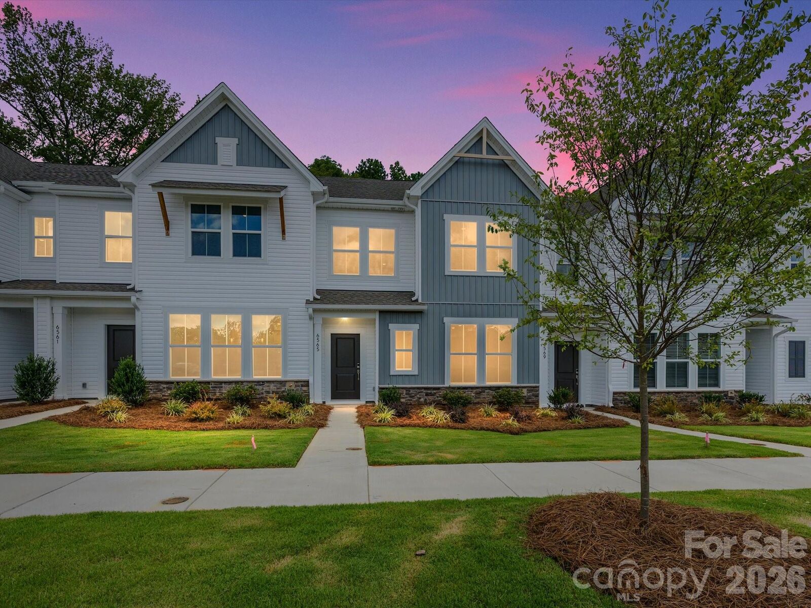 Property Photo: 6565 Fire Lily Lane NC 28216