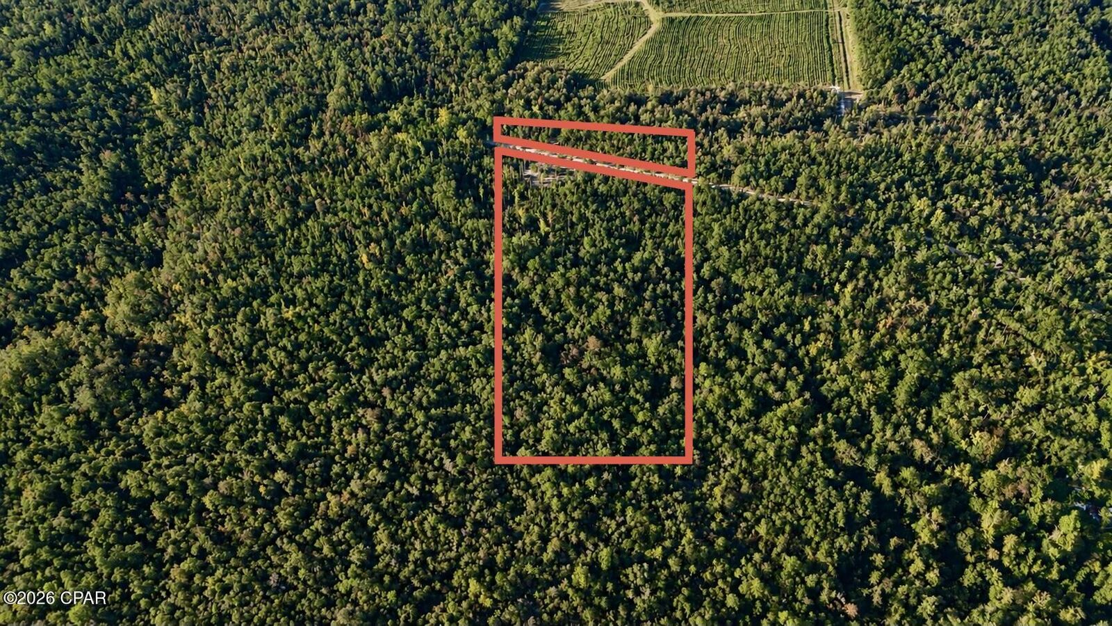 Property Photo: 00 Pitts Rd Road FL 32438