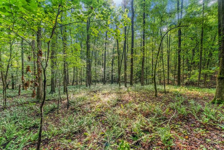 Property Photo:  0 Roger Copeland Road  GA 31811 