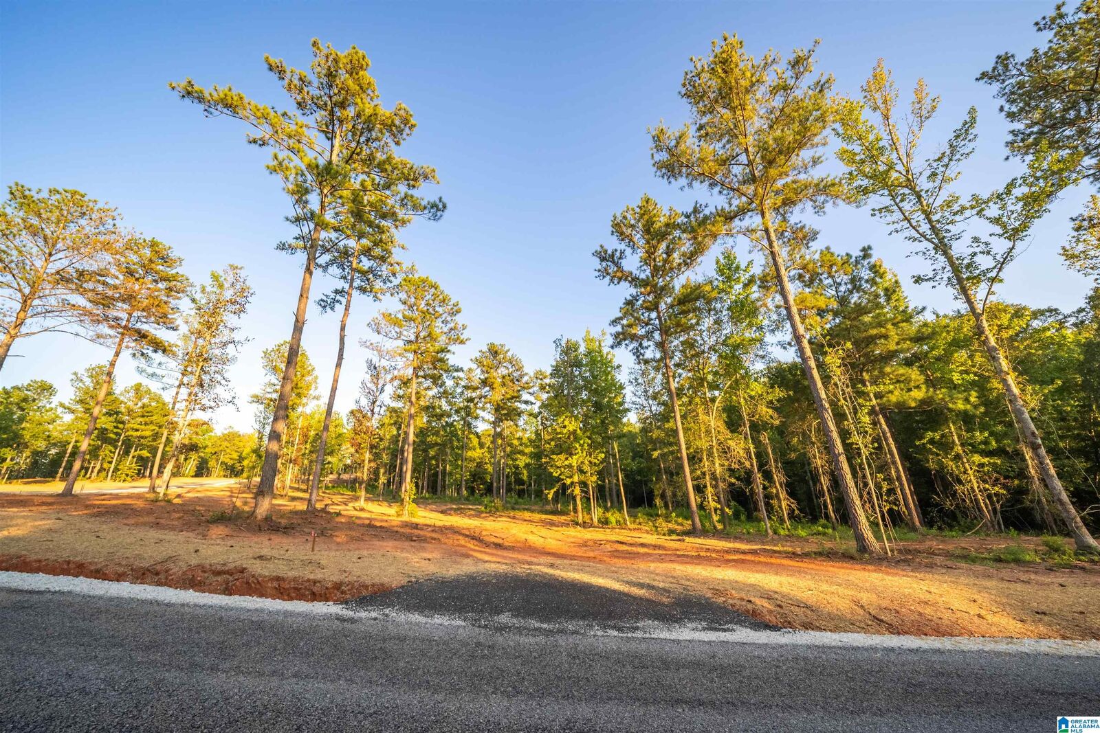 Property Photo:  Lot19 Cam's Cov Old Highway 431 Lot 19  AL 36278 