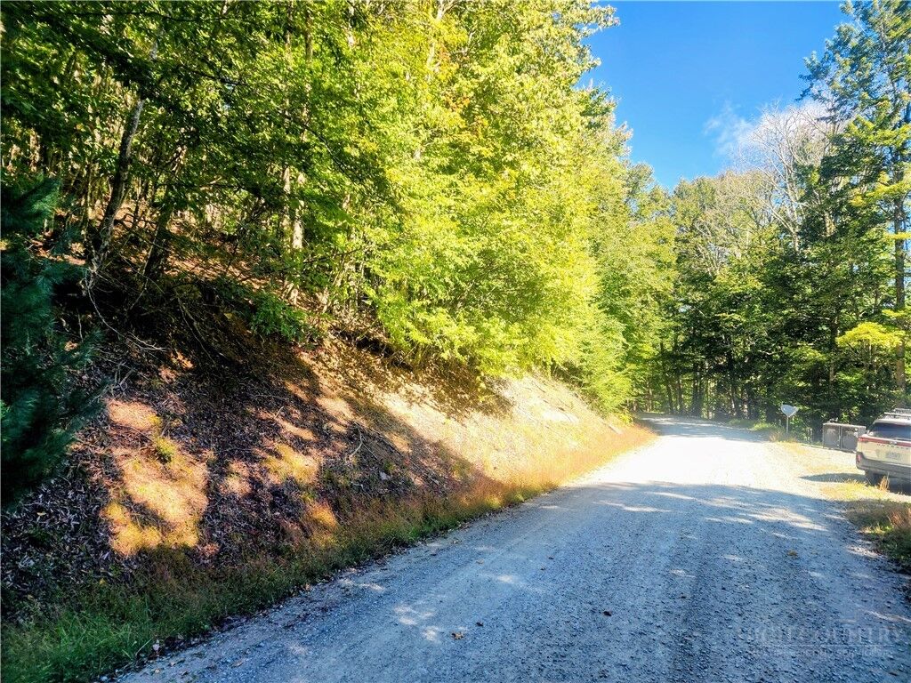 Property Photo:  113 E Blueberry Lane  NC 28604 
