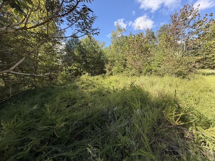 Property Photo: 0 E Taxiway Drive Lot 18 KY 42602