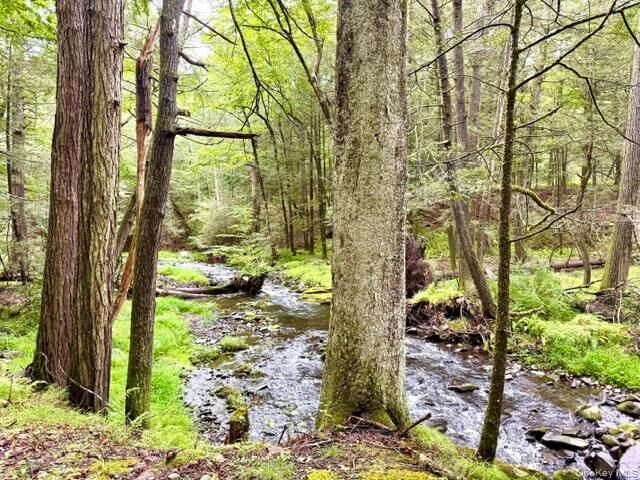 Property Photo:  Lot 9 Black Forest Road  NY 12737 