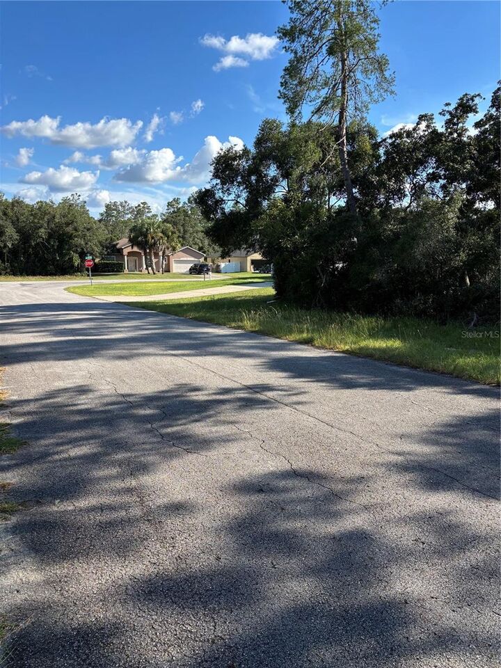 Property Photo:  0 SW 171st Street  FL 34473 