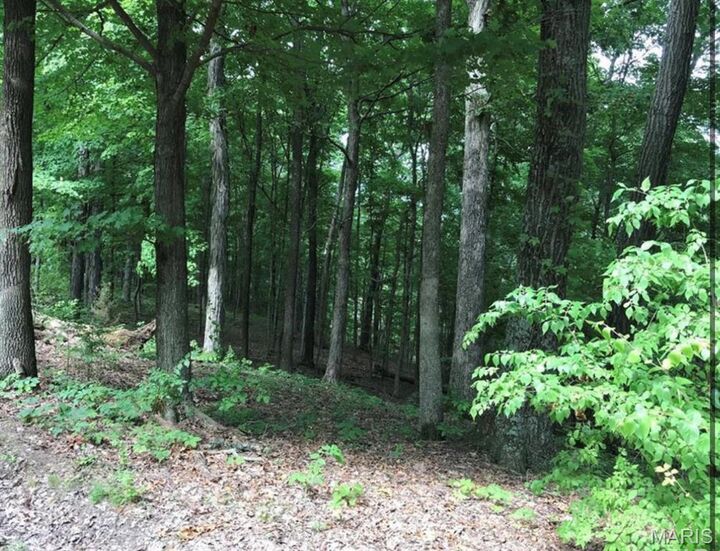 Property Photo: 2 Hennessey Lane MO 63069