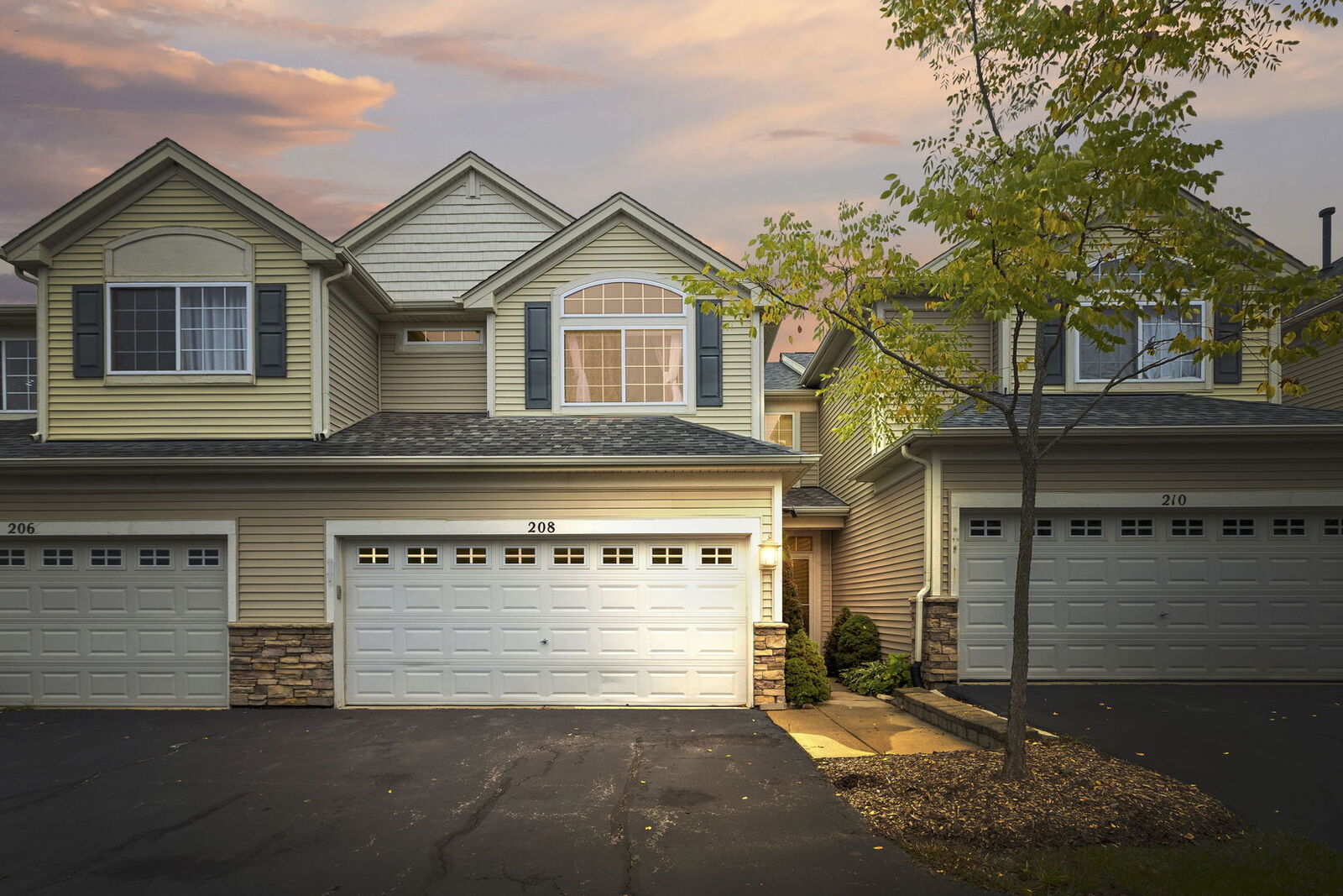 Property Photo:  208 Timber Trails Boulevard  IL 60136 