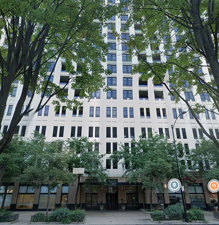Property Photo: 1255 S State Street R456 IL 60605