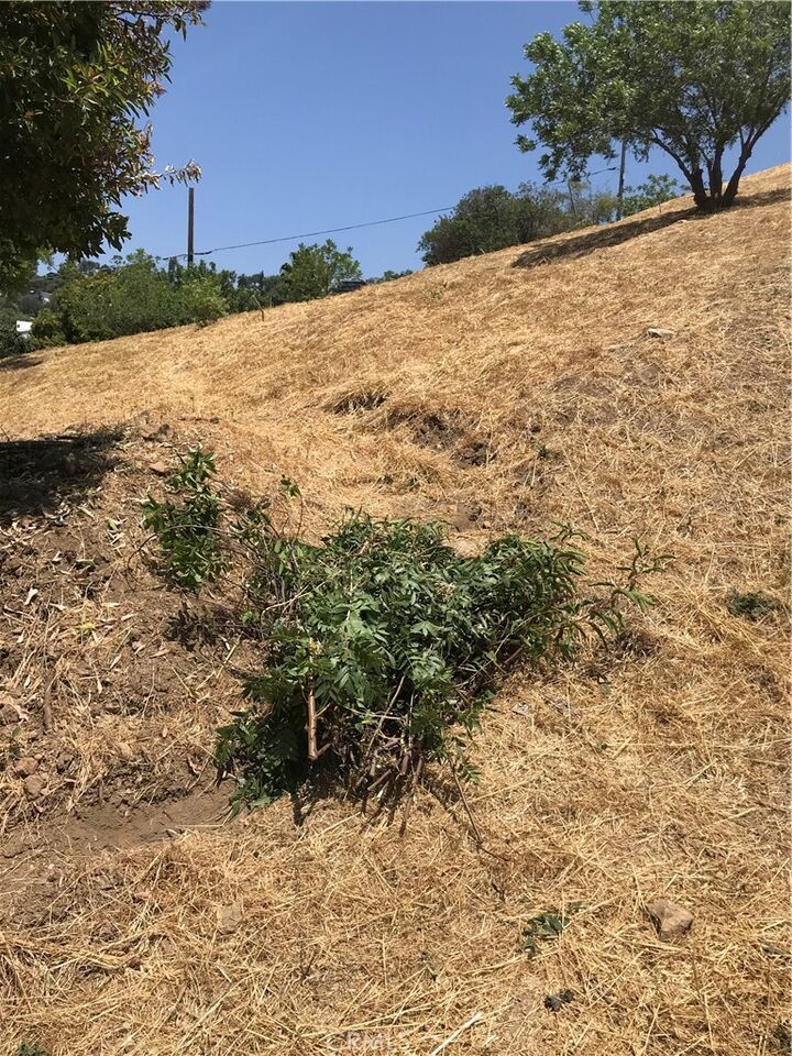 Property Photo: 0 Thorpe CA 90065