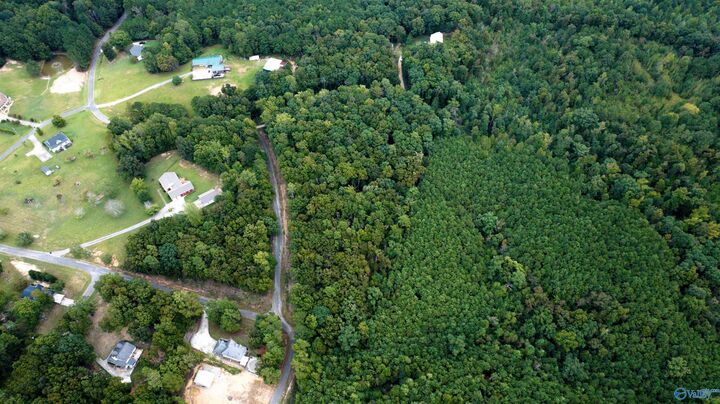 Property Photo:  4.18 Acres Paula Reed Road  AL 35956 
