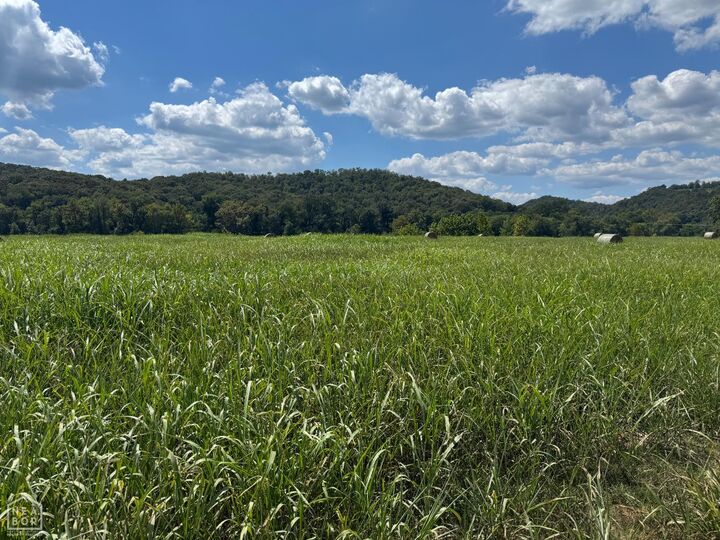 Property Photo:  43 White River Run  AR 72540 