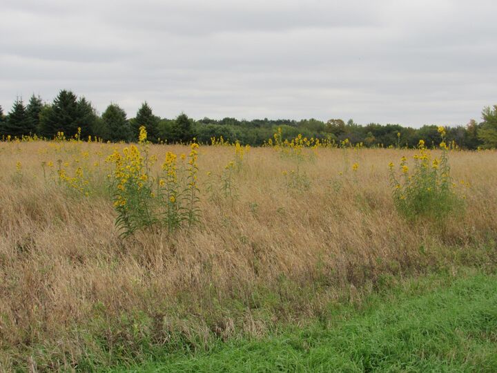 Property Photo: 40929 95th Street MN 56013
