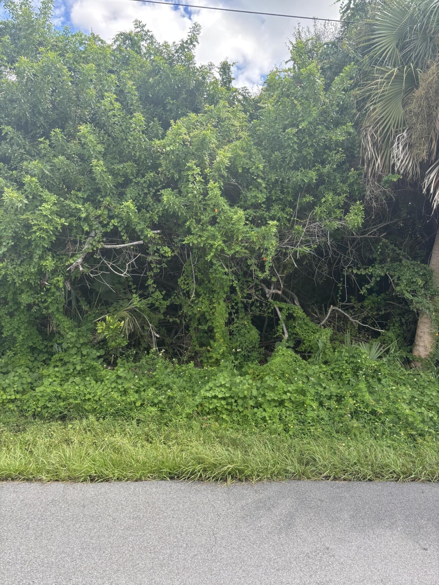 Property Photo: 6294 Rosewood Drive FL 34224