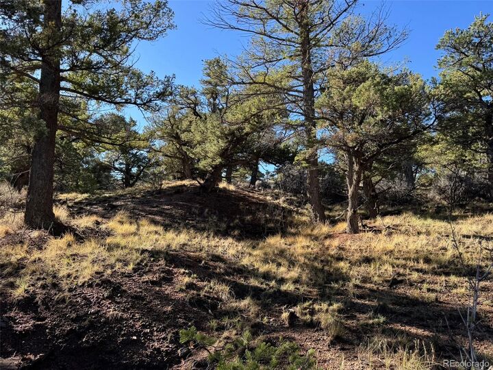 Property Photo:  Lot 2336 Sandoval Road  CO 81133 