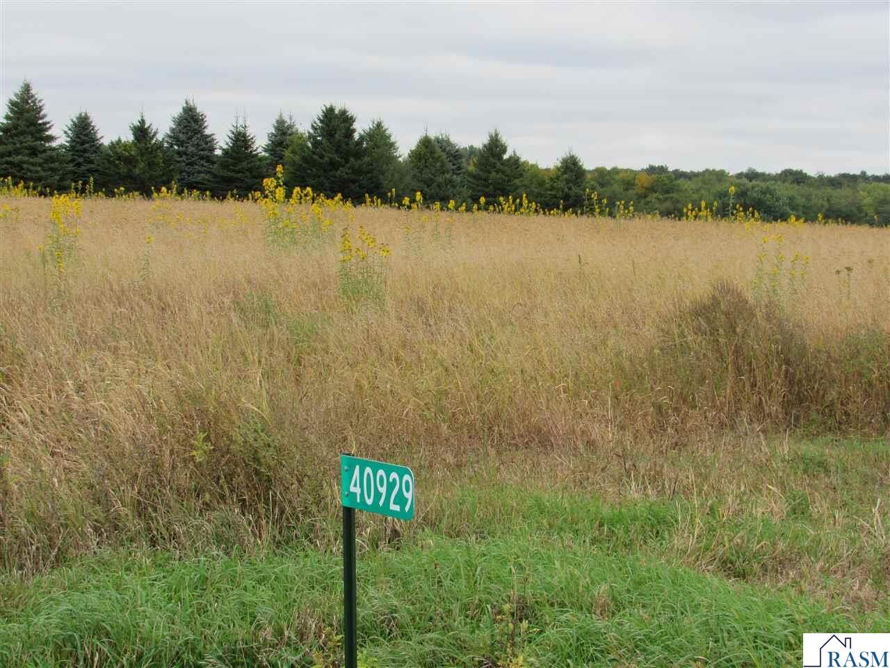 Property Photo: 40929 95th Street MN 56013
