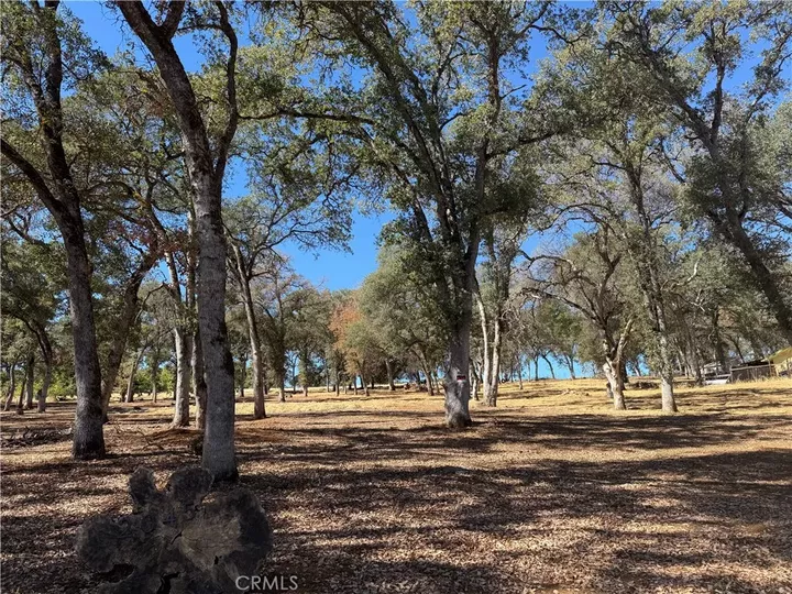 Property Photo: 2045 Eastlake Dr. CA 95451