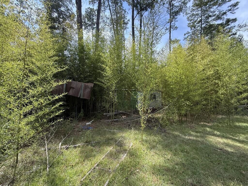 Property Photo: 1165 County Road 2132 TX 75932