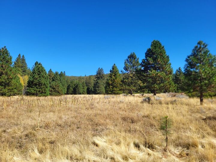 Property Photo:  Lot 20 N Old Stage Rd  CA 96094 
