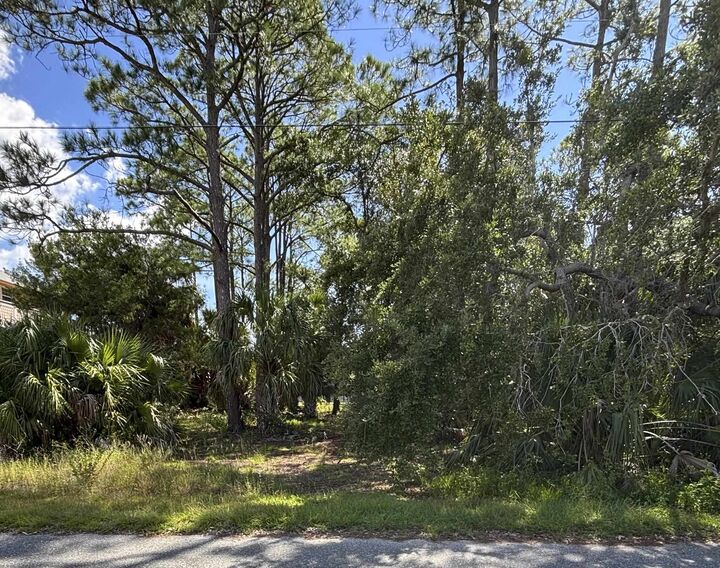 Property Photo:  33 Blue Heron Way  FL 32346 