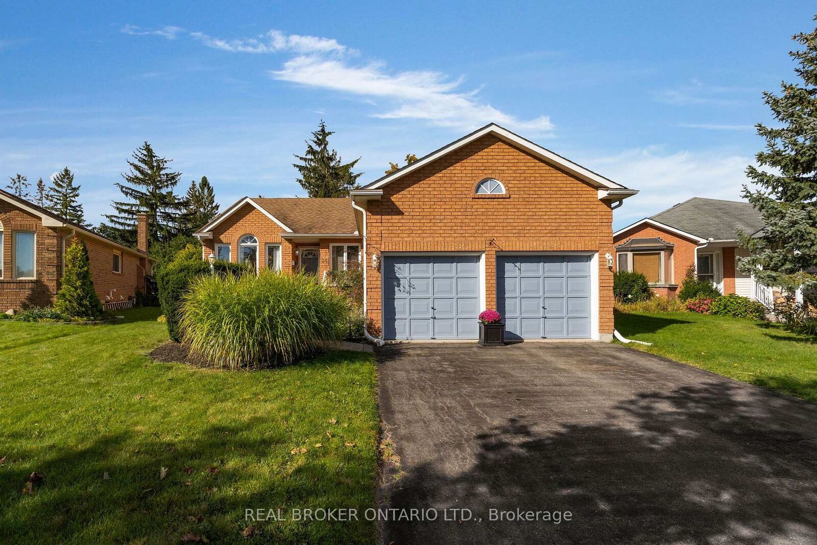 Property Photo:  36 Webb Street  ON L4N 6V2 
