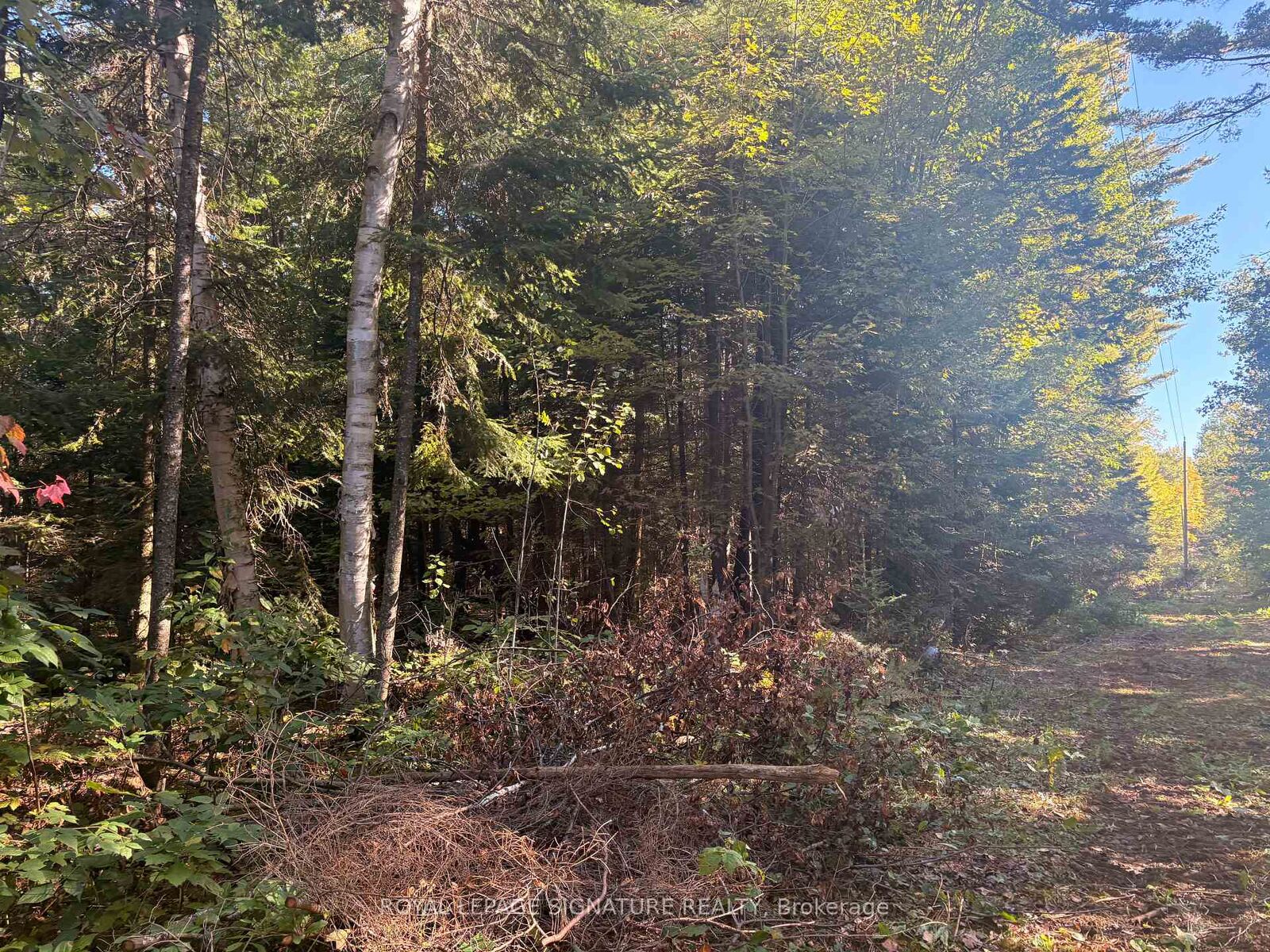 Property Photo:  63 Bunny Trail  ON P2A 2W7 