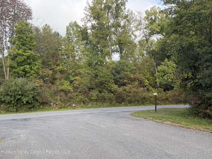 Property Photo:  1248 Sleepy Hollow  NY 12015 