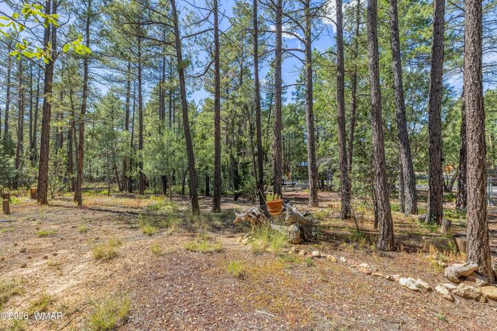 Property Photo: 2861 W Young AZ 85901