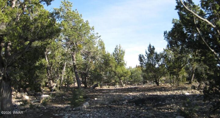 Property Photo: 3249 E Aspen Road AZ 85933