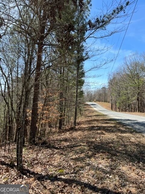Property Photo:  Lt 4 Hunters Ridge  GA 30540 