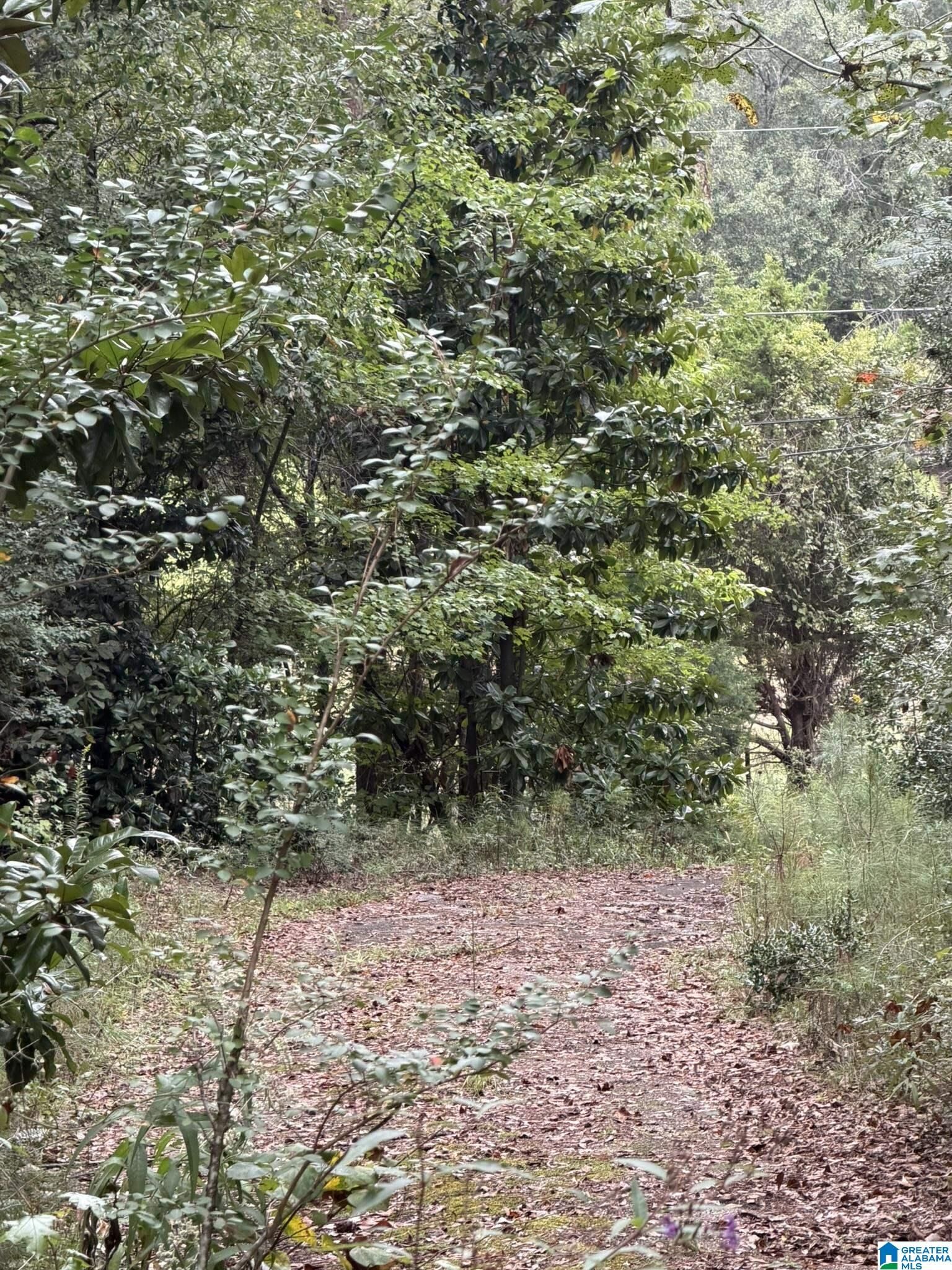 Property Photo: 0 Dearmanville Road 0 AL 36207