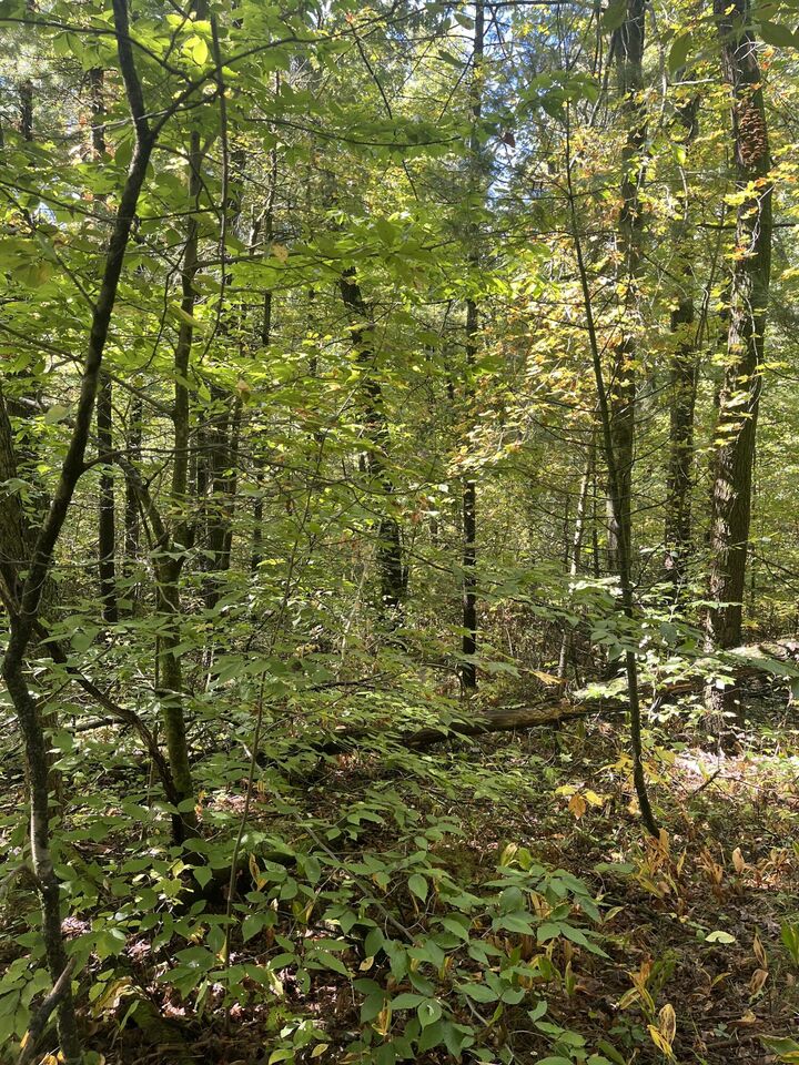 Property Photo:  Vl Sweeter Road  MI 49457 