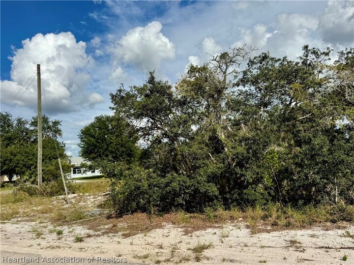 Property Photo:  929 Aster Street  FL 33852 