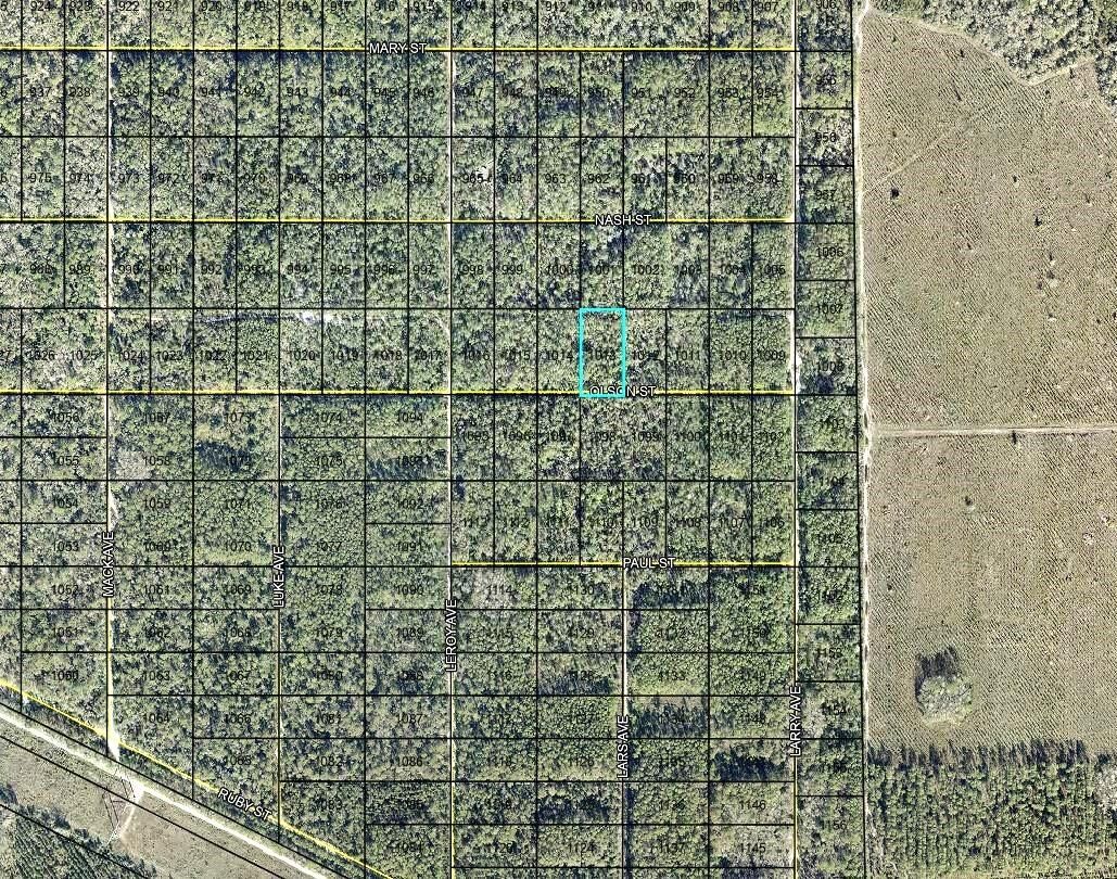 Property Photo:  Lt 1013 Olson Street  FL 32145 