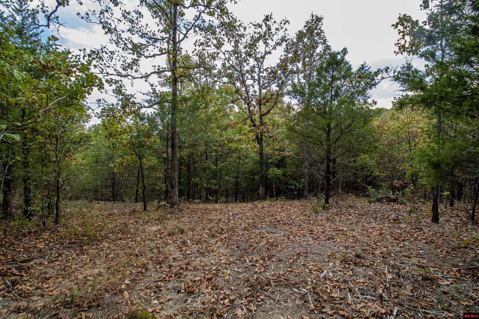 Property Photo:  Lot 43 Cr 1420  AR 72653 